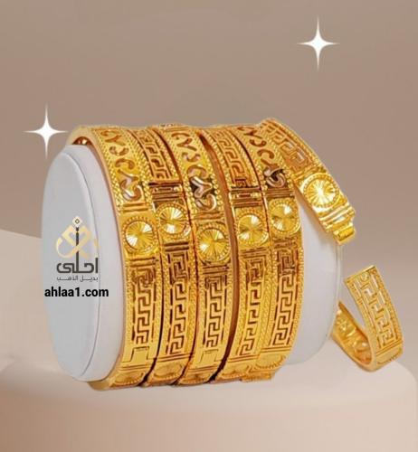 6بناجر نسائي مفتاح جديد مطلي