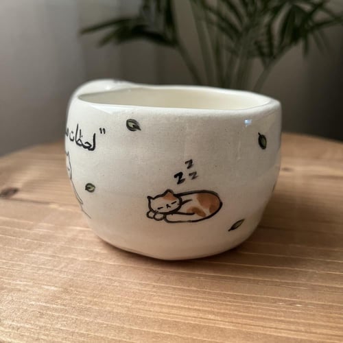 كوب القطط