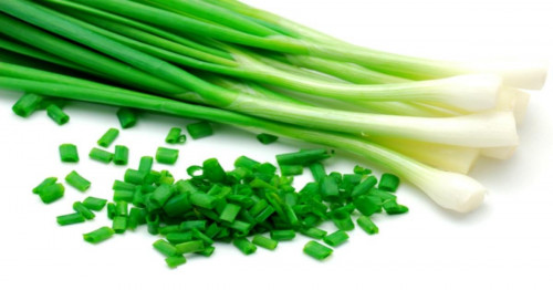 بصل اخضر حزمة صغيرة