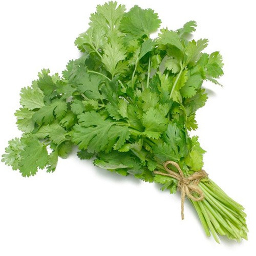 حزمة كزبرة