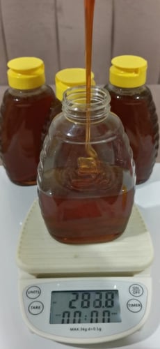 عسل سدر بلدي نصف كيلو