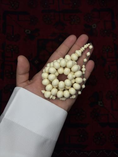 دومنة كريمي الصاروخ