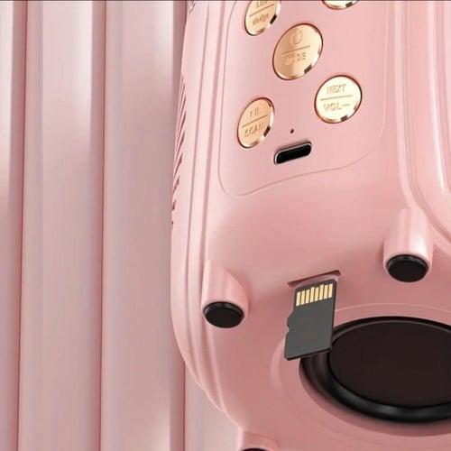 سبيكر مع مكرفونين لاسلكي ومدخل لذاكرة وبلوتوث مع ا...