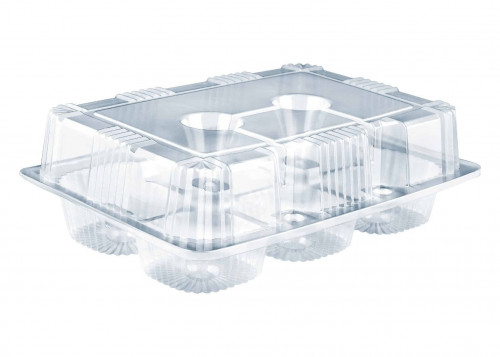 علب كب كيك كبير بلاستيك (10) علب