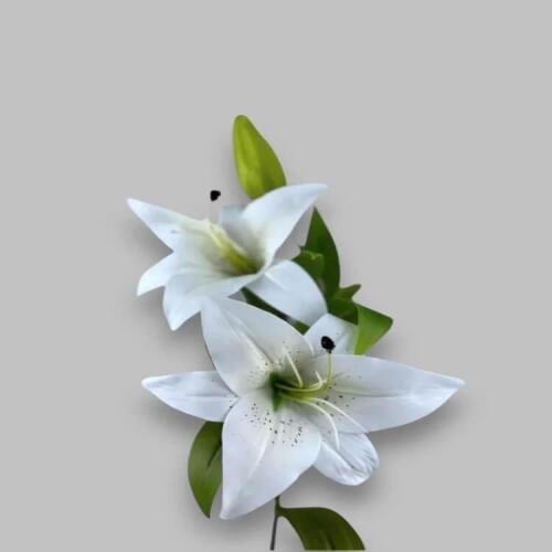 غصن ليليوم مكون من زهرتين -متعدد الالوان
