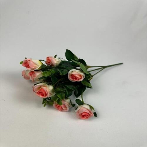 باقة بيبي روز -متعدد الالوان