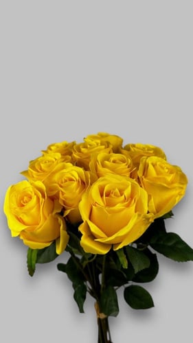 باقة روز -متعدد الالوان- 10 قطع