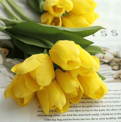 تيوليب -متعدد الالوان