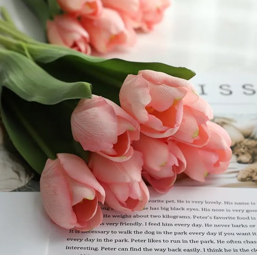 تيوليب -متعدد الالوان