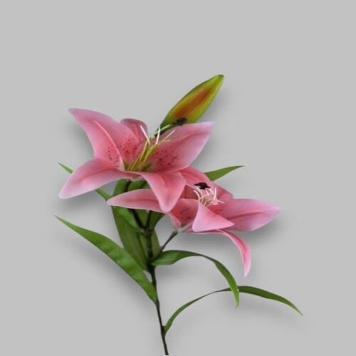 غصن ليليوم مكون من زهرتين -متعدد الالوان