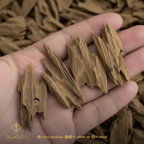 فيتنامي محسن