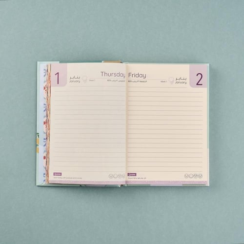 بوكس الأجندة الوردية