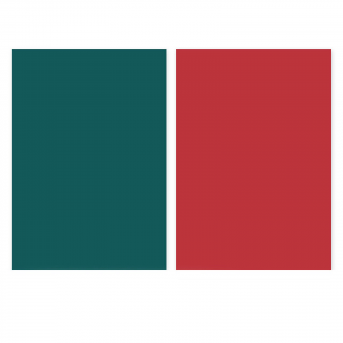 خلفية فينيل وجهين