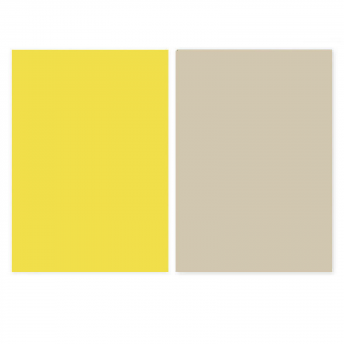 خلفية فينيل وجهين