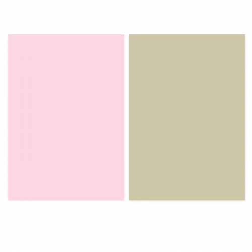 خلفية فينيل وجهين