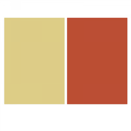 خلفية فينيل وجهين