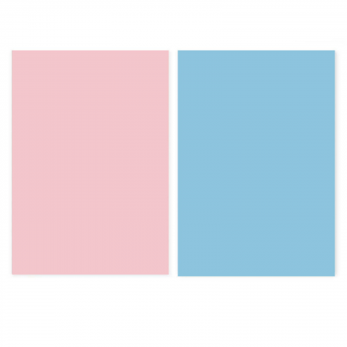 خلفية فينيل وجهين