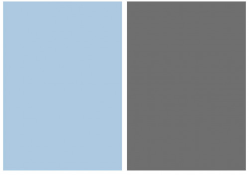 خلفية فينيل وجهين