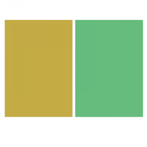 خلفية فينيل وجهين