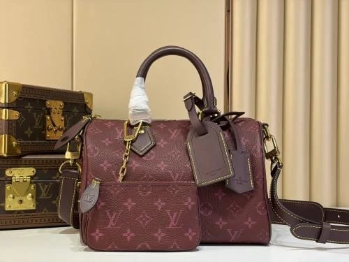 لوي فيتون SPEEDY P9 BANDOULIÈRE 25 مقاس 25cm