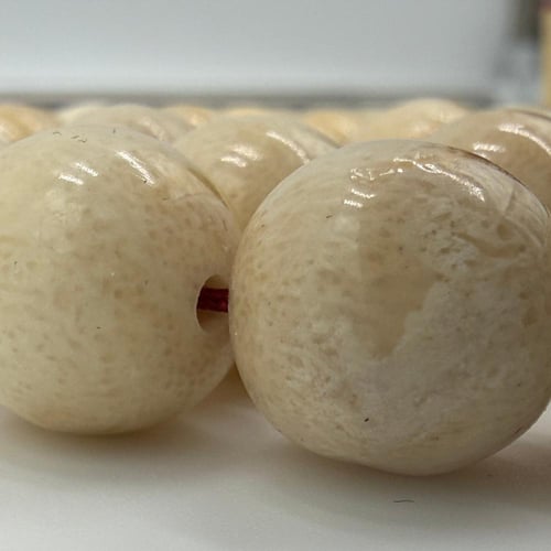 سبحة مرجان أبيض طبيعي حر معي عينة طبيعية من المرحا...
