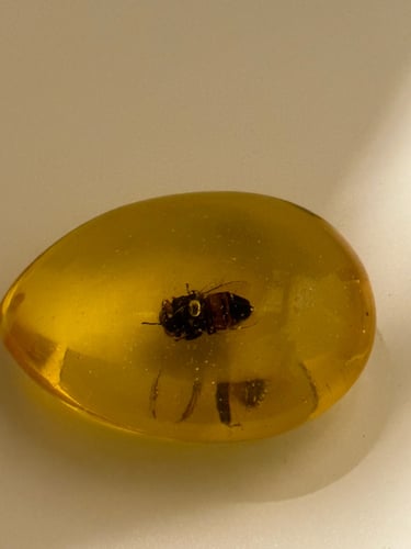 تحفه تراب كهرمان محشي بنحل