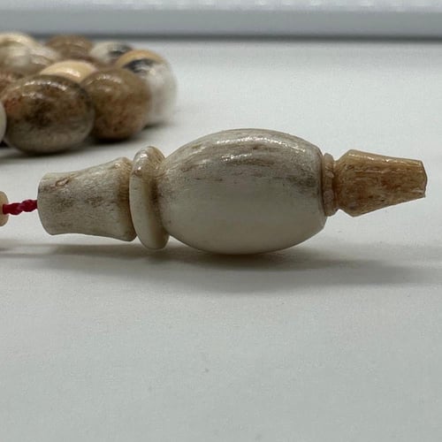 سبحة قرن الغزال الاوربي مع عينة من القرن وشهادة ال...