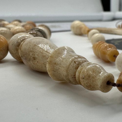 سبحة قرن الغزال الاوربي مع الكسار وشهادة الخراط