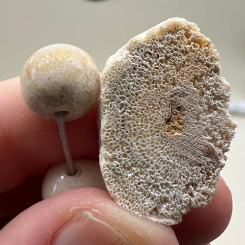 سبحة مرجان ابيض حر