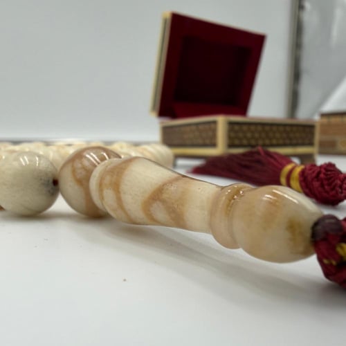 سبحة مرجان أبيض طبيعي حر معي عينة طبيعية من المرحا...