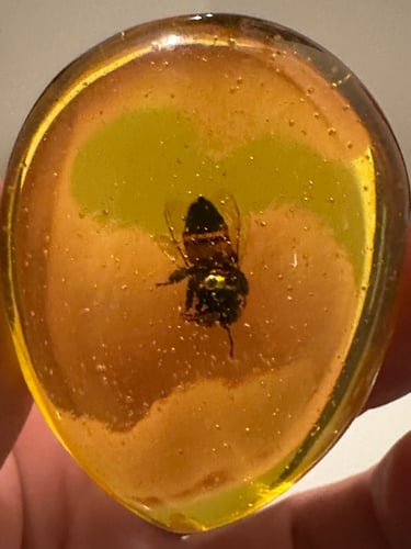 تحفه تراب كهرمان محشي بنحل