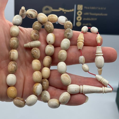 سبحة قرن الغزال الاوربي مع عينة من القرن وشهادة ال...