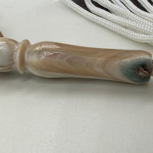 سبحة صدف بحري طبيعي حر