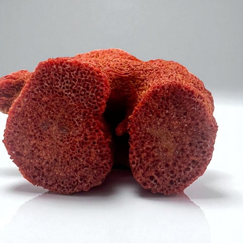 سبحة مرجان طبيعي حر مع عينة من المرجان