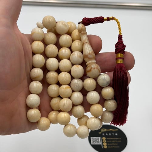 سبحة مرجان أبيض طبيعي حر معي عينة طبيعية من المرحا...