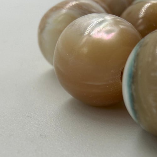 سبحة صدف بحري طبيعي حر