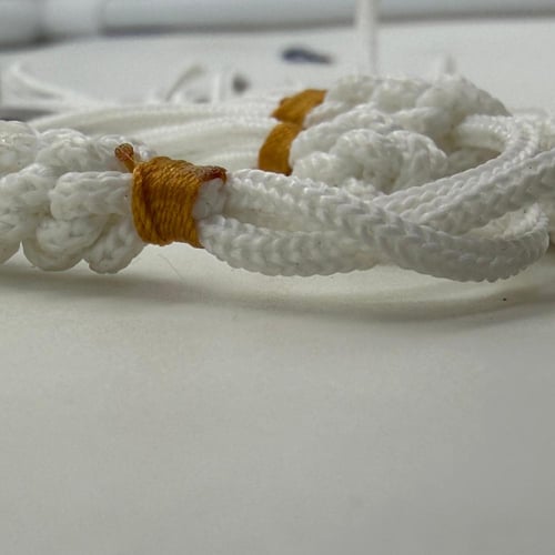 سبحة صدف بحري طبيعي حر