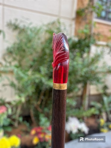 عصى رجالي من خشب الفنجي ورأس الخيل مستكة