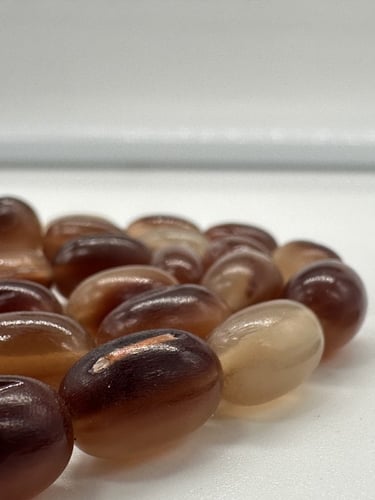 سبحة ترسه ظفر سلحفاة