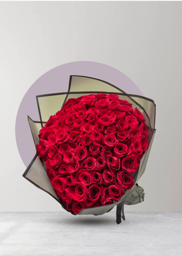 الحب 100 وردة