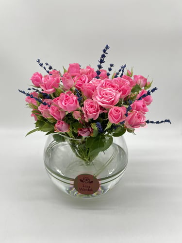 همسة الافندر