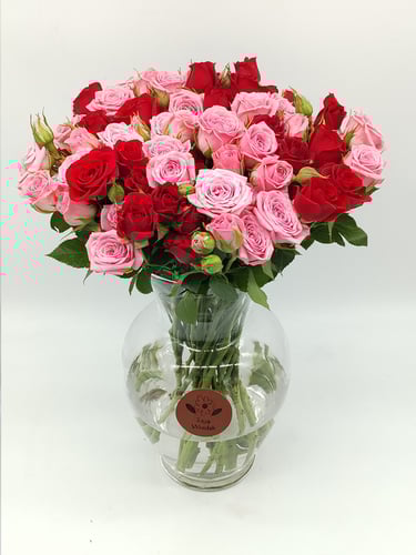 فازة روزليت