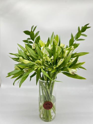 نقاء الزهور