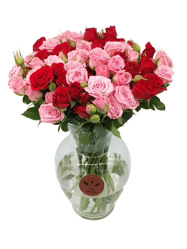 فازة روزليت