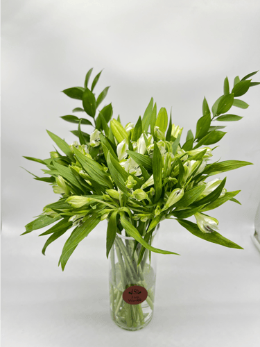 نقاء الزهور