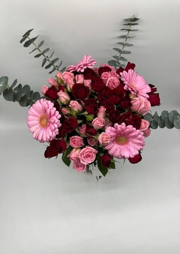 فازة روزلين