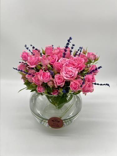 همسة الافندر