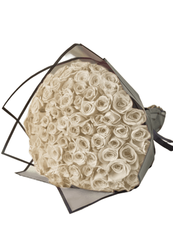 بوكيه 100 البيضاء