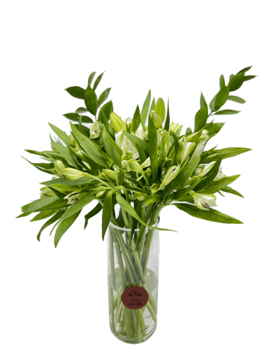 نقاء الزهور