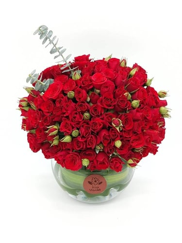 فازة غاليتي